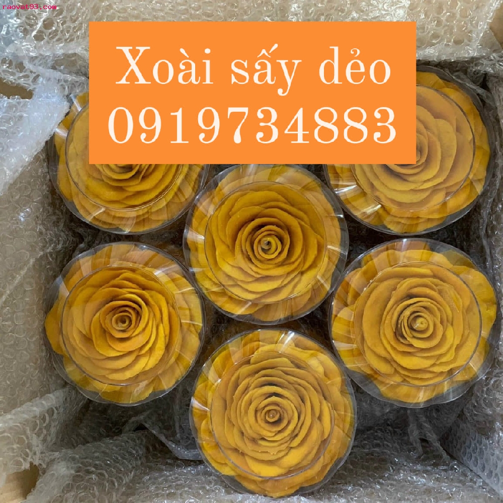  Địa chỉ bán xoài sấy dẻo, trái cây sấy dẻo tại Hà Nội. Gọi 0919734883