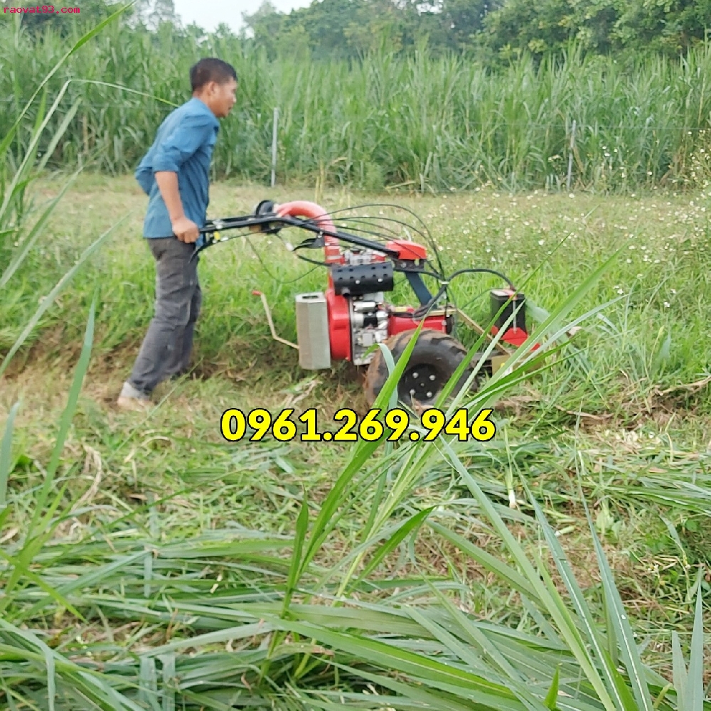 Máy cắt cỏ đẩy tay, máy thu hoạch cỏ voi Kawasaki BM91<